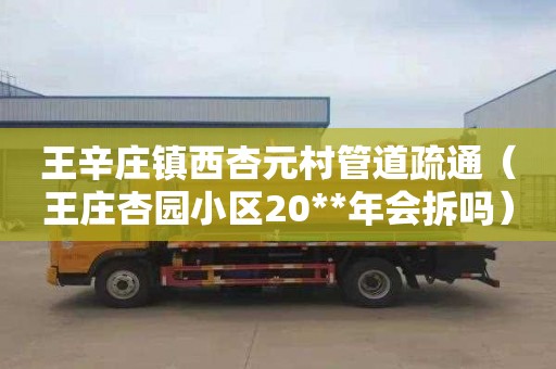 王辛庄镇西杏元村管道疏通（王庄杏园小区20**年会拆吗）
