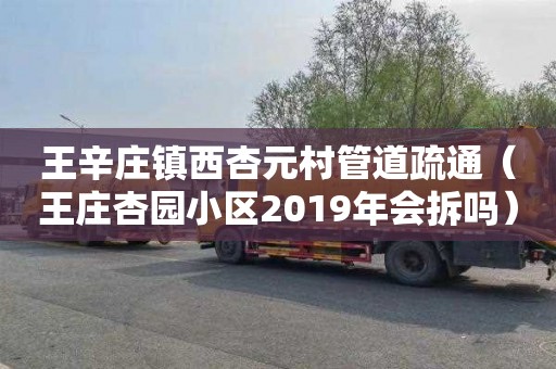 王辛庄镇西杏元村管道疏通（王庄杏园小区2019年会拆吗）