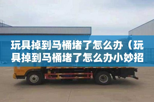 玩具掉到马桶堵了怎么办（玩具掉到马桶堵了怎么办小妙招）