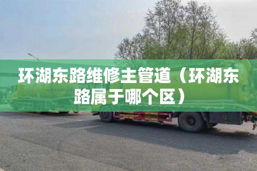 环湖东路维修主管道（环湖东路属于哪个区）