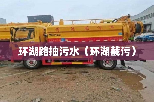 环湖路抽污水（环湖截污）
