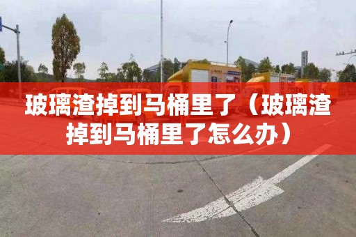 玻璃渣掉到马桶里了（玻璃渣掉到马桶里了怎么办）