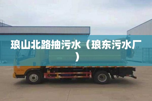 琅山北路抽污水（琅东污水厂）