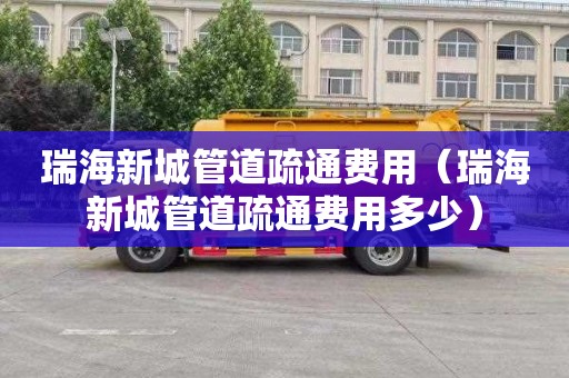 瑞海新城管道疏通费用（瑞海新城管道疏通费用多少）