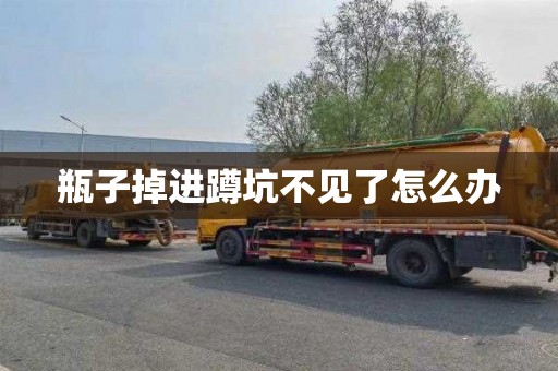 瓶子掉进蹲坑不见了怎么办