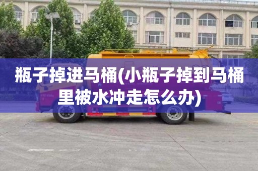 瓶子掉进马桶(小瓶子掉到马桶里被水冲走怎么办)