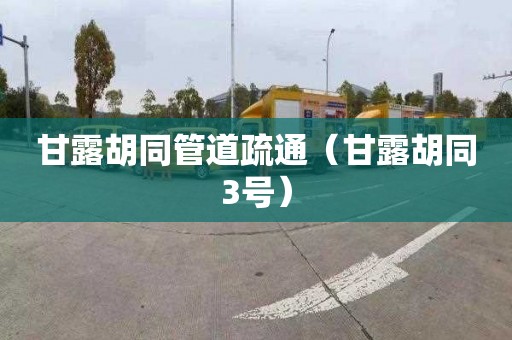 甘露胡同管道疏通（甘露胡同3号）