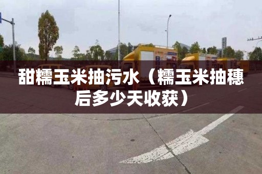 甜糯玉米抽污水（糯玉米抽穗后多少天收获）