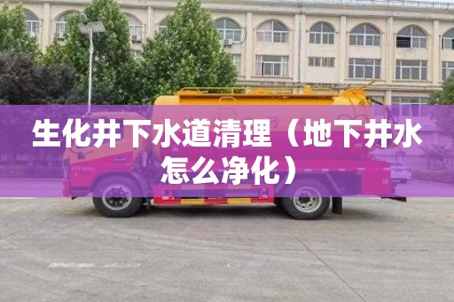 生化井下水道清理（地下井水怎么净化）