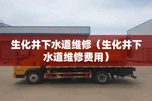 生化井下水道维修（生化井下水道维修费用）