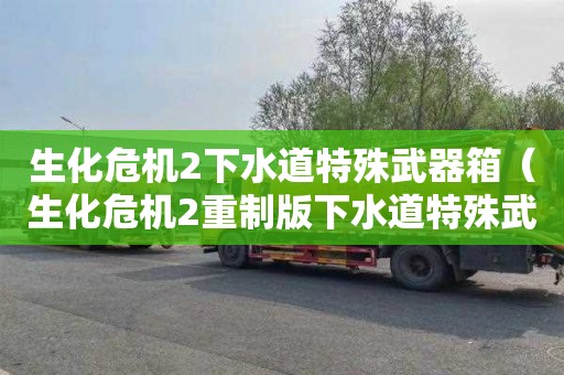 生化危机2下水道特殊武器箱（生化危机2重制版下水道特殊武器箱）