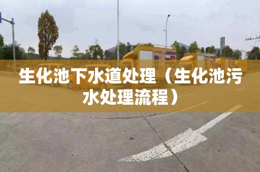 生化池下水道处理（生化池污水处理流程）