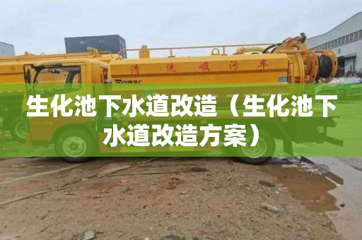 生化池下水道改造（生化池下水道改造方案）