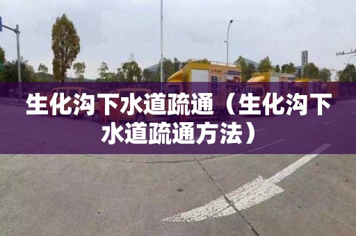 生化沟下水道疏通（生化沟下水道疏通方法）