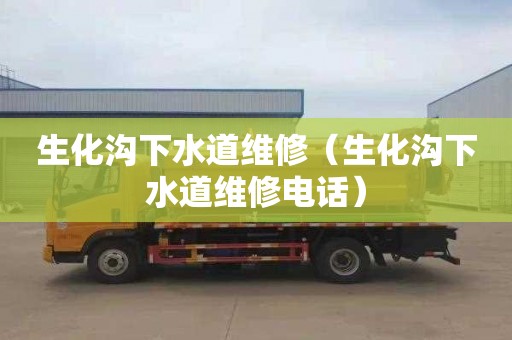 生化沟下水道维修（生化沟下水道维修电话）