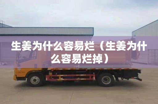 生姜为什么容易烂（生姜为什么容易烂掉）