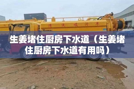 生姜堵住厨房下水道（生姜堵住厨房下水道有用吗）
