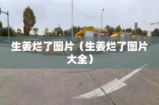 生姜烂了图片（生姜烂了图片大全）