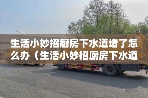 生活小妙招厨房下水道堵了怎么办（生活小妙招厨房下水道堵了怎么办视频）