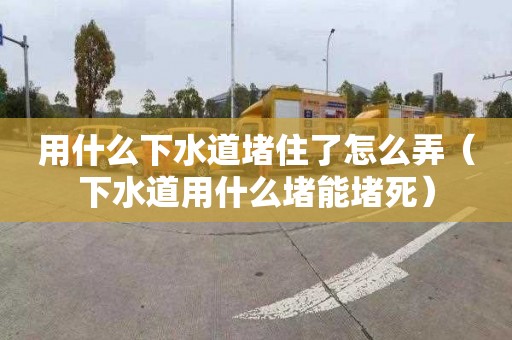 用什么下水道堵住了怎么弄（下水道用什么堵能堵死）