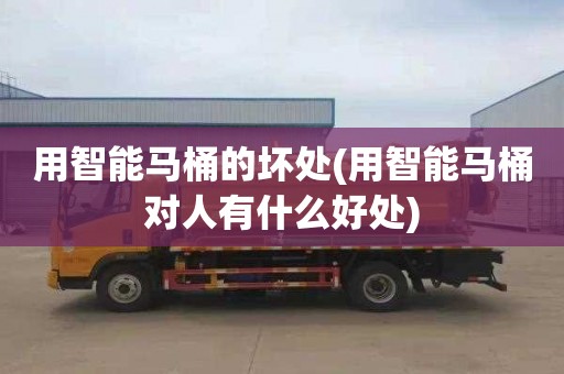 用智能马桶的坏处(用智能马桶对人有什么好处)