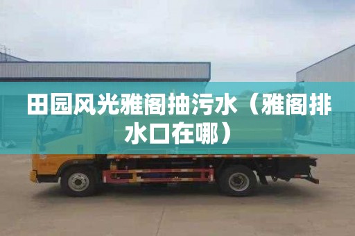 田园风光雅阁抽污水（雅阁排水口在哪）