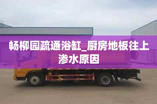 畅柳园疏通浴缸_厨房地板往上渗水原因