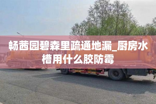 畅茜园碧森里疏通地漏_厨房水槽用什么胶防霉