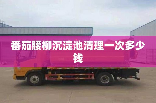 番茄腰柳沉淀池清理一次多少钱