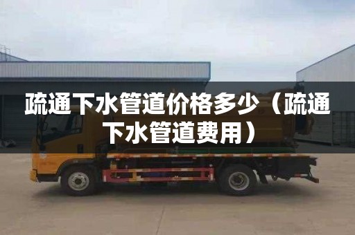 疏通下水管道价格多少（疏通下水管道费用）