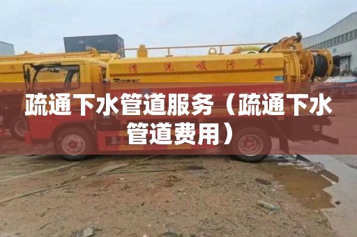 疏通下水管道服务（疏通下水管道费用）