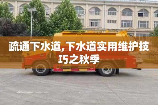 疏通下水道,下水道实用维护技巧之秋季