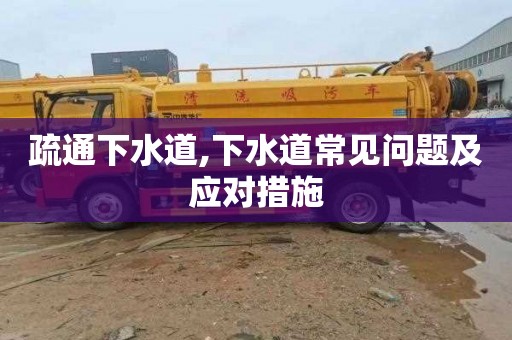 疏通下水道,下水道常见问题及应对措施