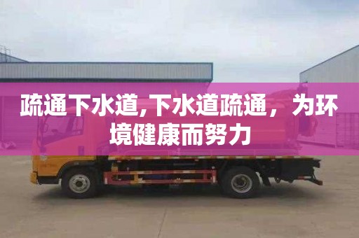 疏通下水道,下水道疏通，为环境健康而努力