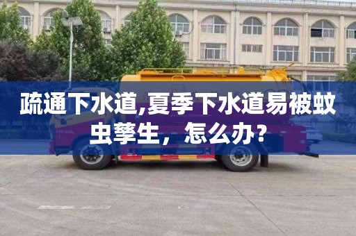 疏通下水道,夏季下水道易被蚊虫孳生，怎么办？