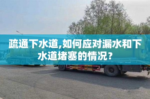 疏通下水道,如何应对漏水和下水道堵塞的情况？