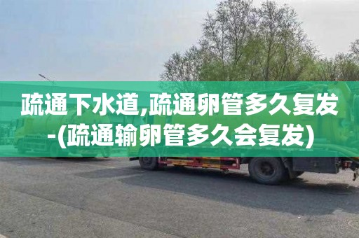 疏通下水道,疏通卵管多久复发-(疏通输卵管多久会复发)