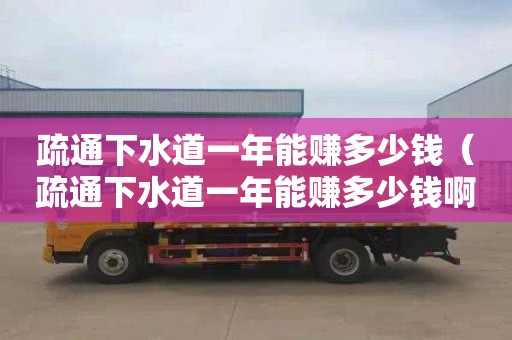 疏通下水道一年能赚多少钱（疏通下水道一年能赚多少钱啊）