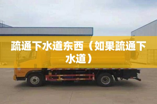 疏通下水道东西（如果疏通下水道）