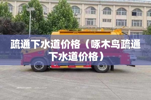 疏通下水道价格（啄木鸟疏通下水道价格）