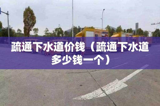疏通下水道价钱（疏通下水道多少钱一个）