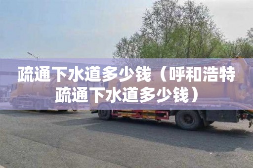 疏通下水道多少钱（呼和浩特疏通下水道多少钱）