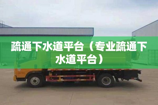 疏通下水道平台（专业疏通下水道平台）