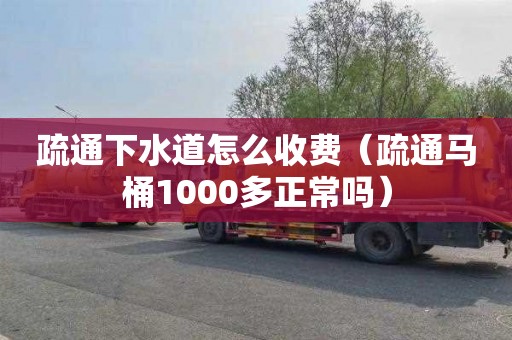 疏通下水道怎么收费（疏通马桶1000多正常吗）