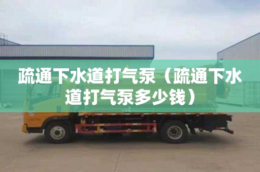 疏通下水道打气泵（疏通下水道打气泵多少钱）