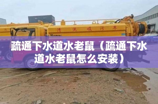 疏通下水道水老鼠（疏通下水道水老鼠怎么安装）