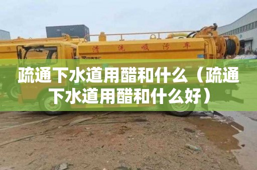 疏通下水道用醋和什么（疏通下水道用醋和什么好）