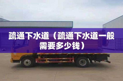 疏通下水道（疏通下水道一般需要多少钱）