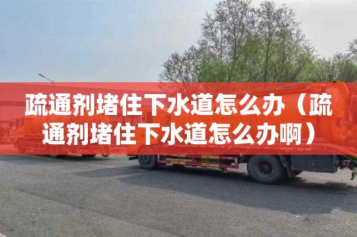 疏通剂堵住下水道怎么办（疏通剂堵住下水道怎么办啊）