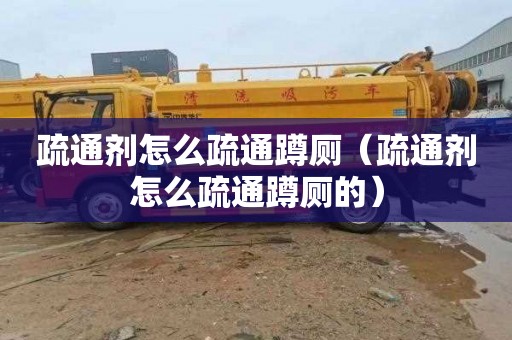 疏通剂怎么疏通蹲厕（疏通剂怎么疏通蹲厕的）
